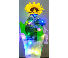 FMD003_LED Sunflower box.